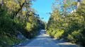 0182-dag-11-029-Carretera Austral Tortel